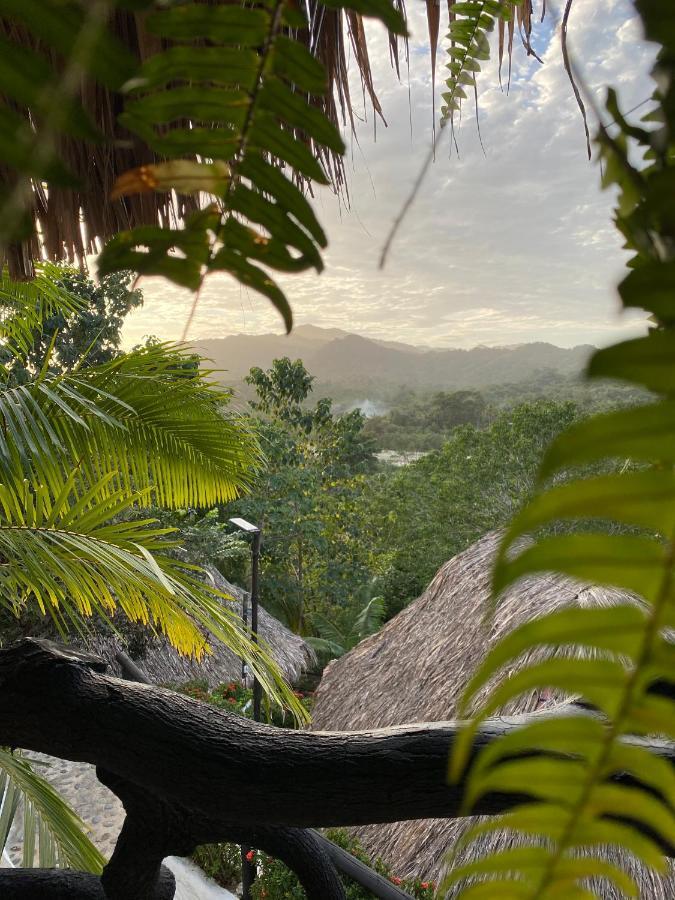 Quetzal Dorado Eco-Lodge By Mareygua エル・ザイノ エクステリア 写真
